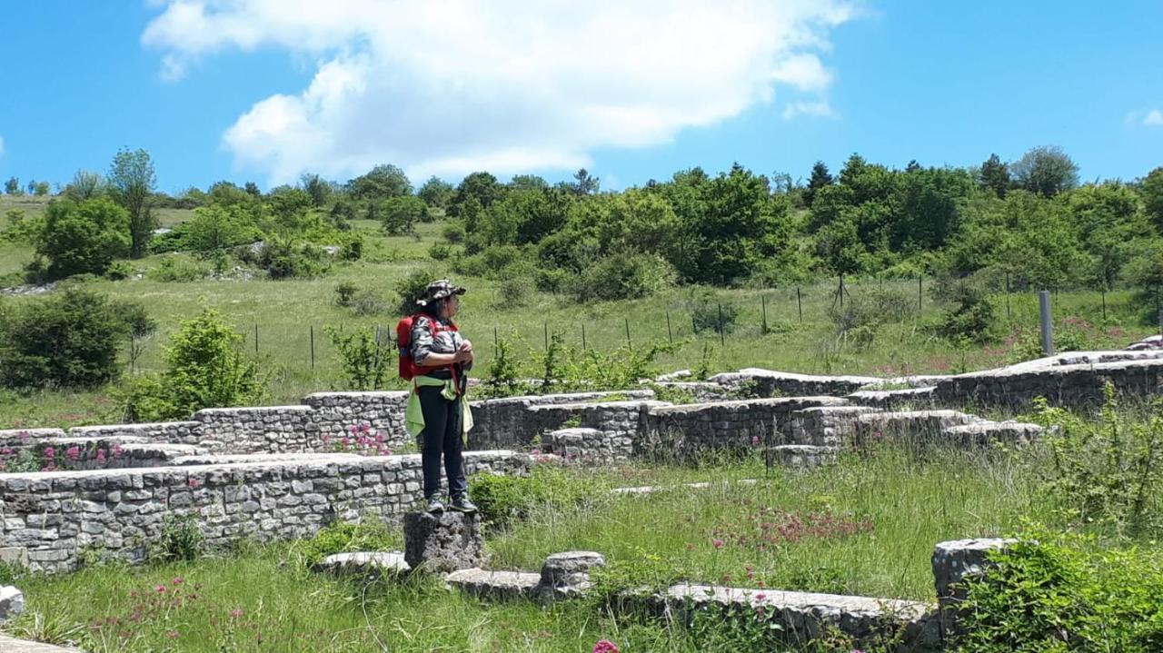 B&B "Za' Vittoria"#Lagodibomba Dış mekan fotoğraf